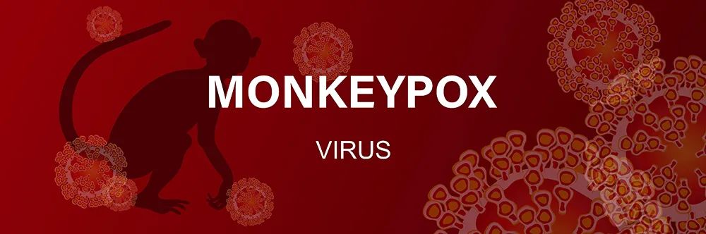 国内多地发现猴痘病例 如何预防猴痘病毒？